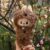 Button Eye Bear Set