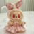 Pendant Fresh Pink Plaid Skirt