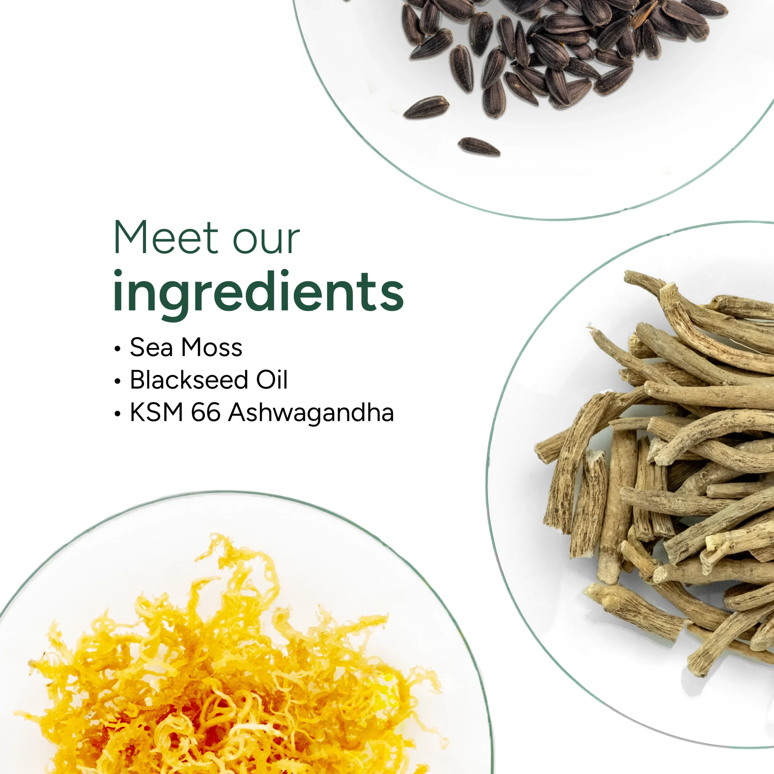 Sea Moss Gummies 60s - Image 3