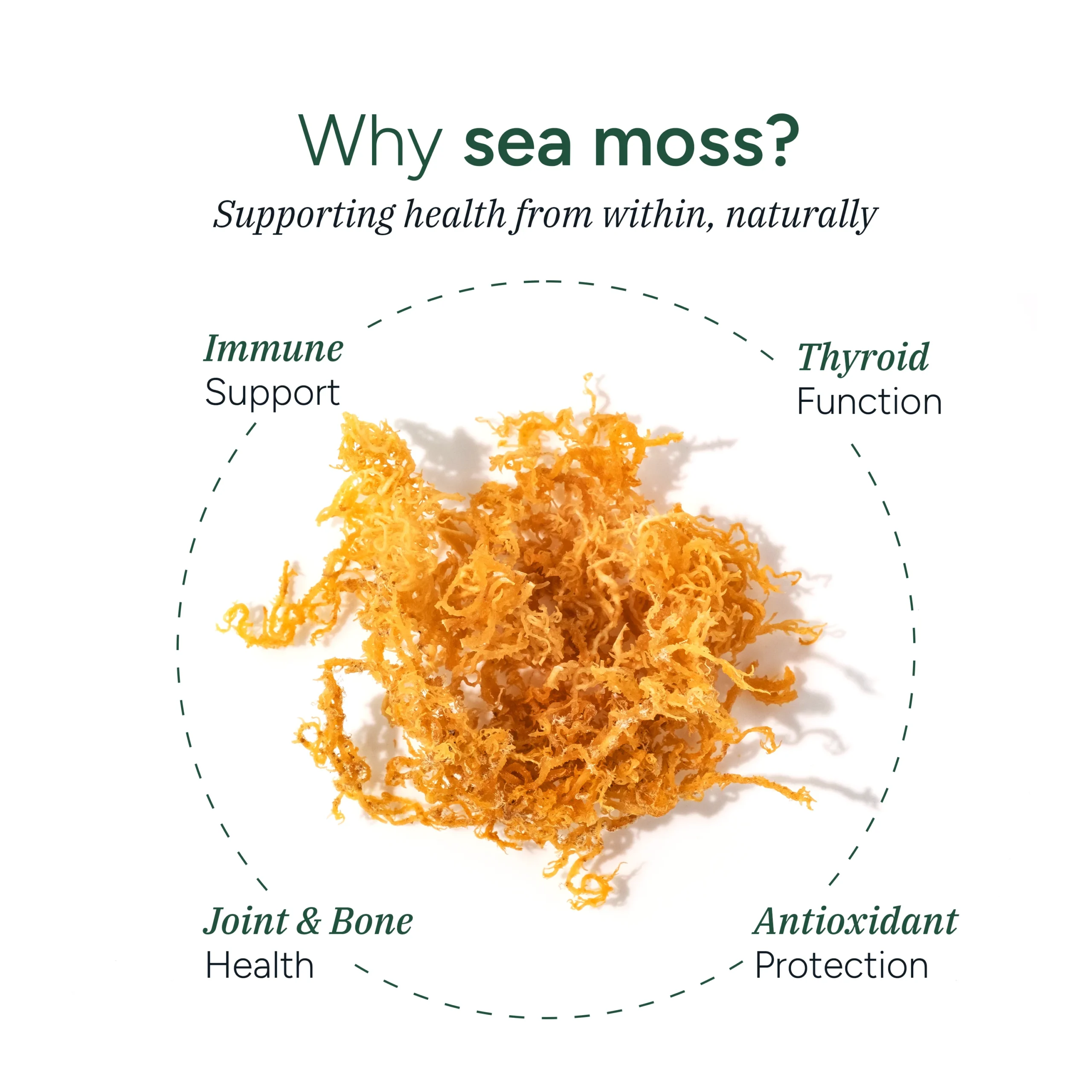 Sea Moss Gummies 60s - Image 2