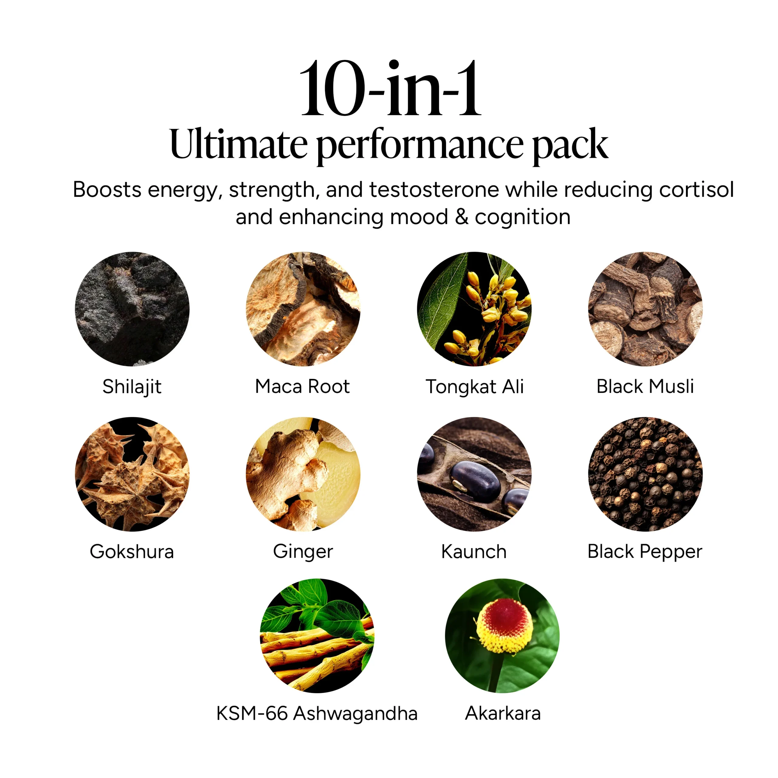 Alpha Gummies 120s - Image 9