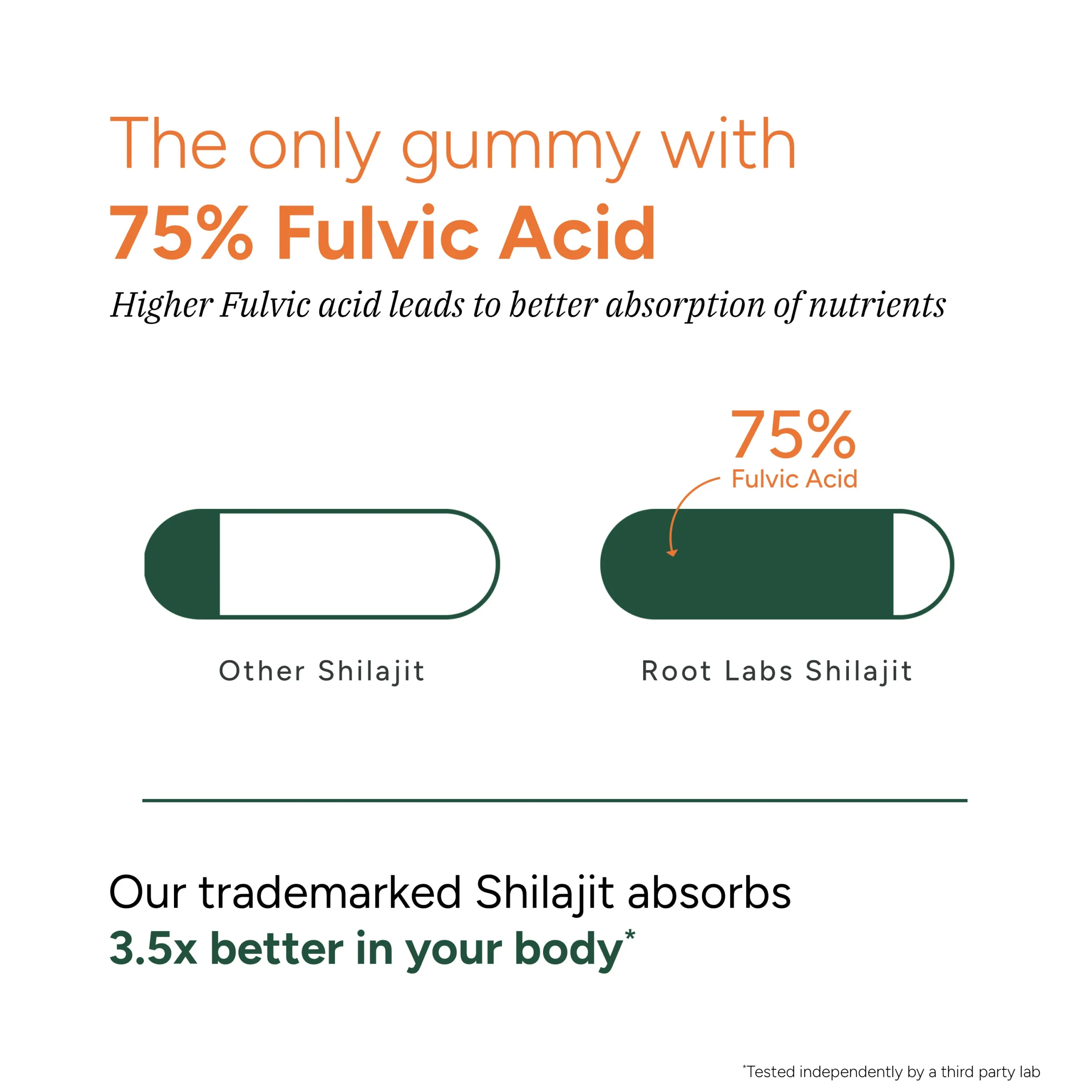 Shilajit Gummies 120s - Image 3
